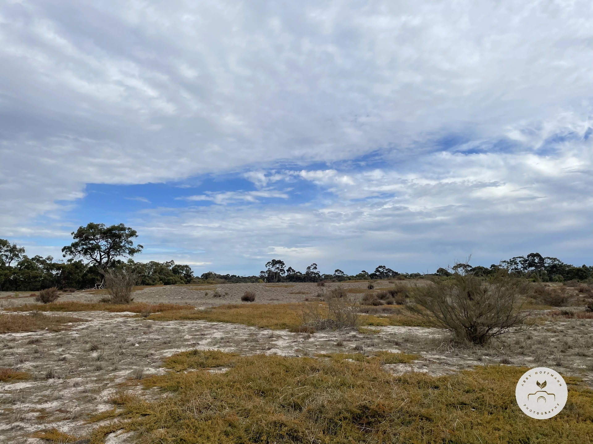 Bordertown photograph