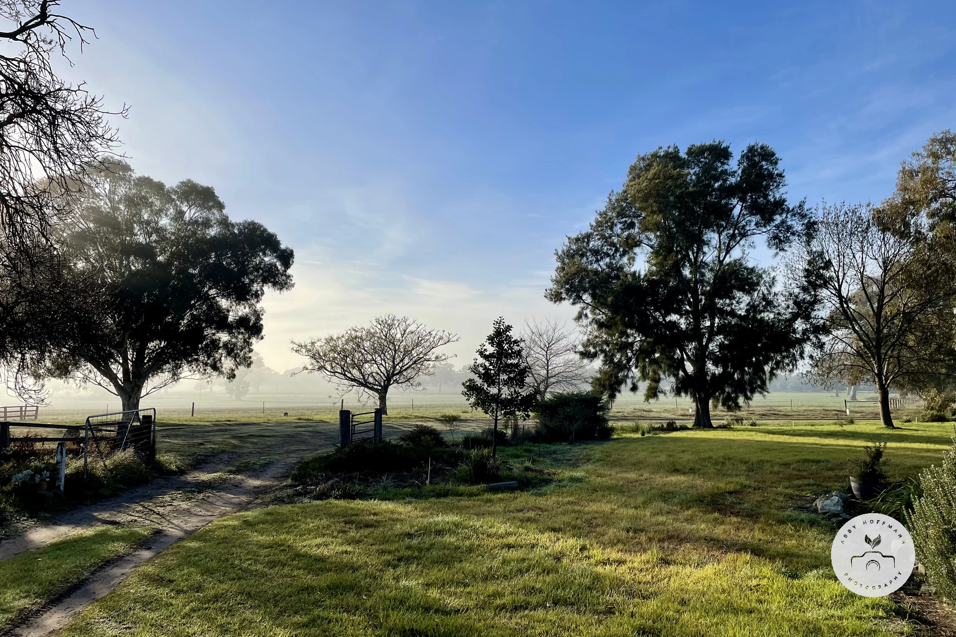Bordertown photograph