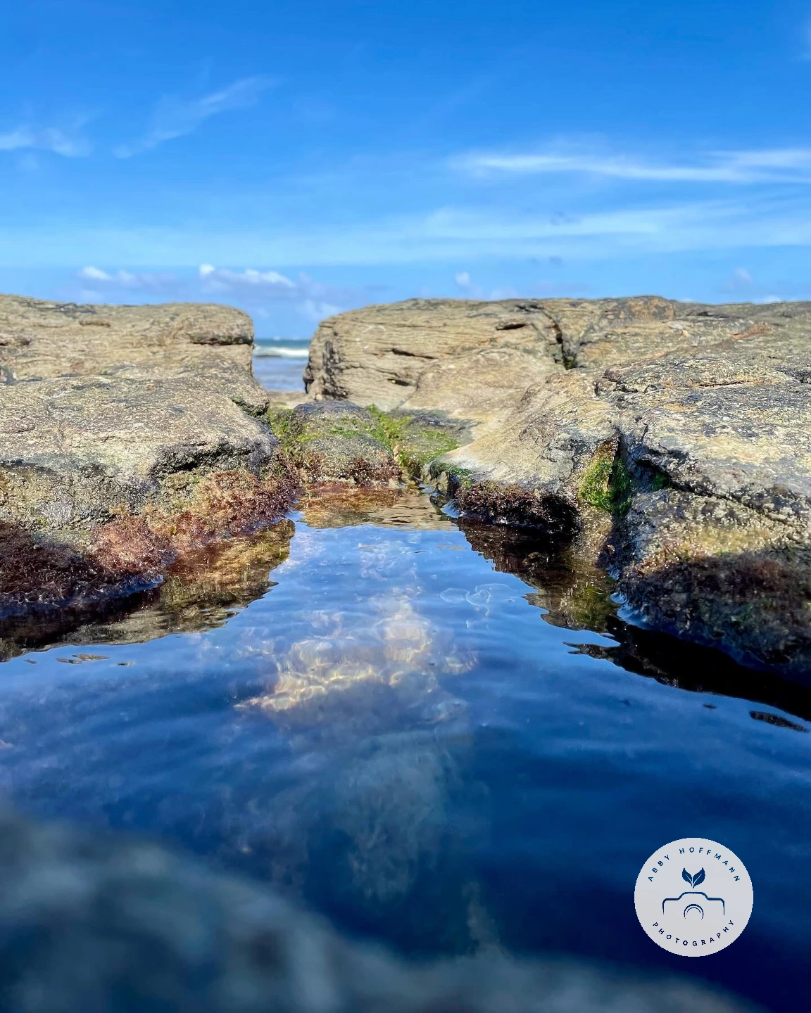 Beach photograph